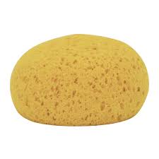 Round Tack Sponge – Horstmeyer Farm and Garden