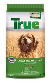 True Adult Maintenance 21/12