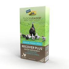 Perdue Flock Leader Recovery