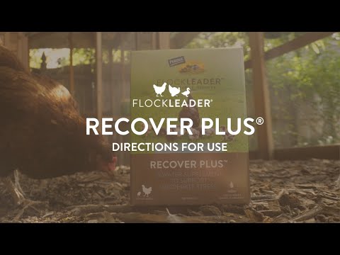 Perdue Flockleader Recover Plus