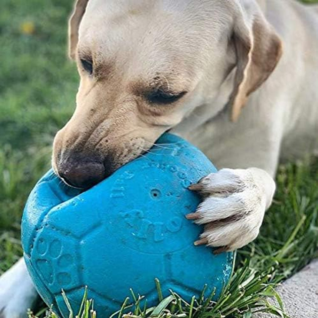 Jolly Pets Soccer Ball 8" Blue