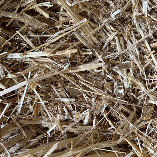 Straw-Wheat